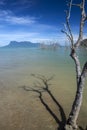 Bako National Park , Borneo