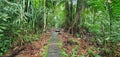 The Bako National Park of Sarawak, Borneo Island, Malaysia Royalty Free Stock Photo