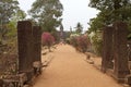 Bakong temple ruins Royalty Free Stock Photo