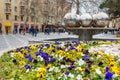 Flower bed on Fountain square in center of city Baku. Azerbaijan Royalty Free Stock Photo