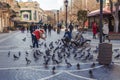 People feed pigeons, Nizami street