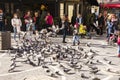 BAKU, AZERBAYJAN-03 MAY 2017 : People feeding domestic pigeons in the street