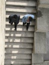 Men walk down the streets of Baku, Azerbaijan