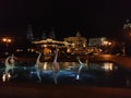 Baku city goose fountain night view Royalty Free Stock Photo