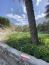 Balad Seit village farms, trekking flag under date palm, Oman