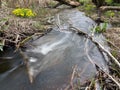 About balance of coexistence. At the sources of the beaver dam.