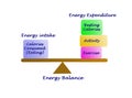 Energy intake and Energy expenditure
