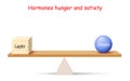 Balance of Hormones. hunger and satiety. Leptin adipose tissue and Ghrelin