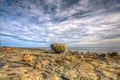 Balance Rock Royalty Free Stock Photo