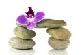 Balance rocks with orchid