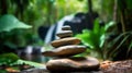 Balance stones in tropical forest.