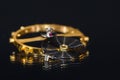 Balance Wheel, Hairspring and Ruby Impulse Roller Jewel Royalty Free Stock Photo