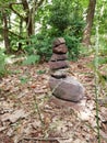 Balance in the woods