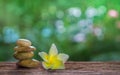 Balance Zen stones and yellow plumeria on wood with green bokeh Royalty Free Stock Photo