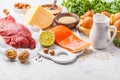 Balanced diet food background. Protein foods: fish, meat, cheese Royalty Free Stock Photo