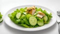 A plate of vegetable salad with sliced chicken, cucumber and lettuce served on a white plate