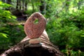 Balanced rock structure composed of multiple rocks in the shape of a circle Royalty Free Stock Photo