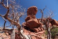 Balanced Rock, Utah Royalty Free Stock Photo