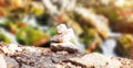 Balanced Rock Zen Stack in front of waterfall Royalty Free Stock Photo