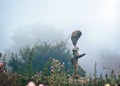 Balanced rocks in a foggy setting