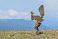 Balanced rocks in a green grassy meadow