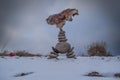 Balanced rocks in a snowy-covered meadow