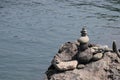 Balanced stone on a jeju beach