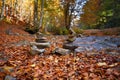 Balanced stones in the autumn forest. Zen stones on autumn leaves