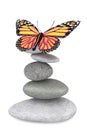 Balanced stones with butterfly Royalty Free Stock Photo