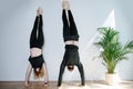 Balanced two people doing wall assisted handstand next to the wall Royalty Free Stock Photo