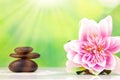 Balanced zen stones with drops of water on a green bokeh background Royalty Free Stock Photo