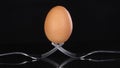 A balancing act. Egg balancing on two forks with black background