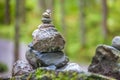 Balancing cairns in the forest Royalty Free Stock Photo