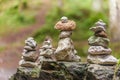 Balancing cairns in the forest Royalty Free Stock Photo