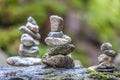 Balancing cairns in the forest Royalty Free Stock Photo