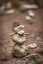 Balancing cairns in the forest Royalty Free Stock Photo