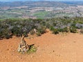 Balancing and concentration pile of rocks, pile of rocks made on the top of the mountain Royalty Free Stock Photo