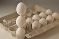 Balancing eggs in a carton