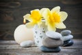 Balancing pebble stones and yellow flowers Royalty Free Stock Photo