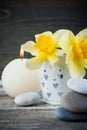 Balancing pebble stones and yellow flowers Royalty Free Stock Photo