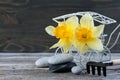 Balancing pebble stones and yellow flowers Royalty Free Stock Photo