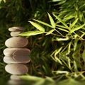 Balancing pebbles in bamboo foliage with reflection