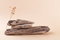 Balancing pyramid of three driftwood and flax plant.