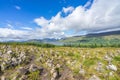 Balancing stones in a typical Highlands landscape near Loch Clunie, Scotland, England