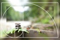 Balancing zen pebble stones outdoors against blurred background. Royalty Free Stock Photo