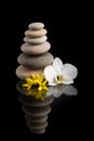 Balancing zen stones on black with white flower Royalty Free Stock Photo