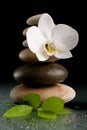 Balancing zen stones on black with white flower Royalty Free Stock Photo