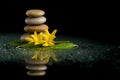 Balancing zen stones on black with yellow flower Royalty Free Stock Photo