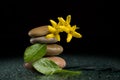 Balancing zen stones on black with yellow flower Royalty Free Stock Photo