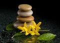 Balancing zen stones on black with yellow flower Royalty Free Stock Photo